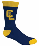 CL Colorblocked Socks