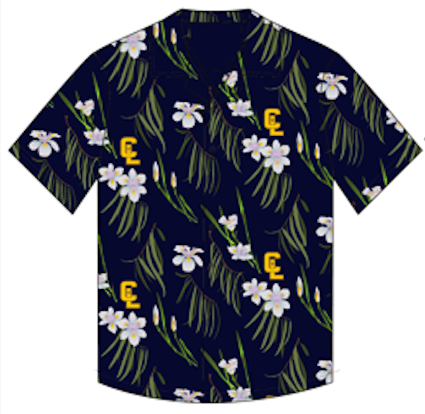 Hawaiian Shirt