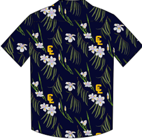 Hawaiian Shirt